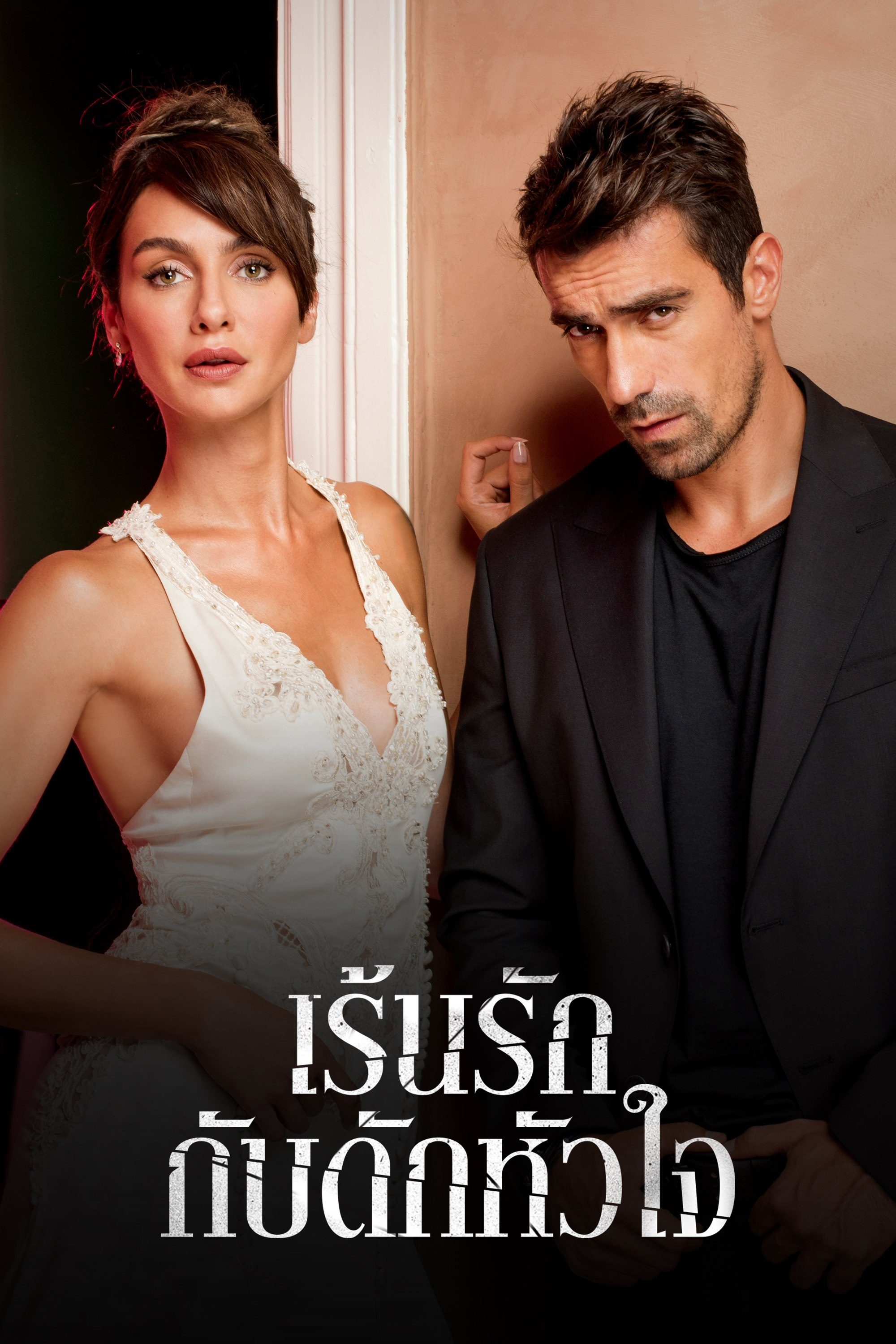 เร้นรัก กับดักหัวใจ Price Of Passion