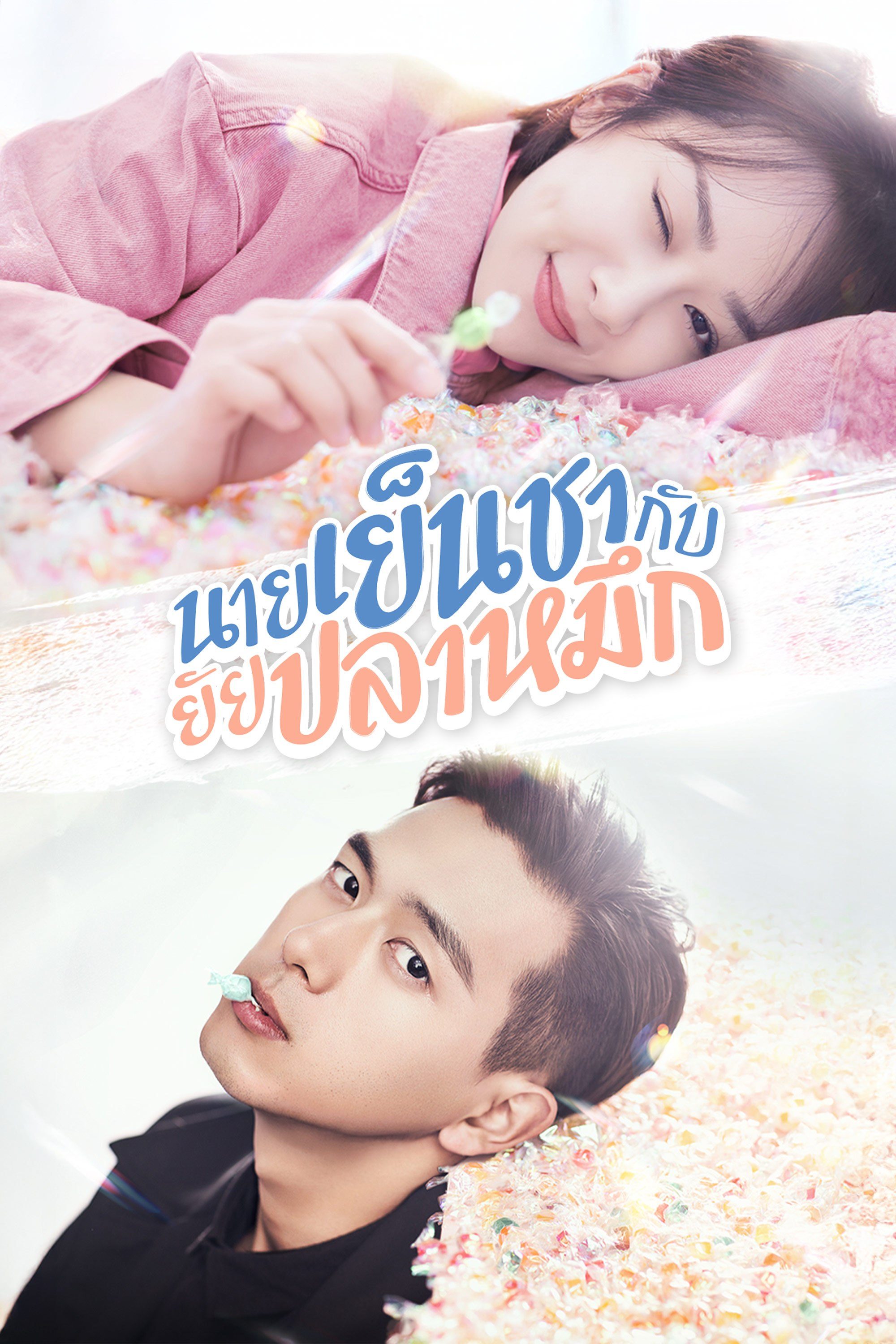 นายเย็นชากับยัยปลาหมึก  Go Go Squid!