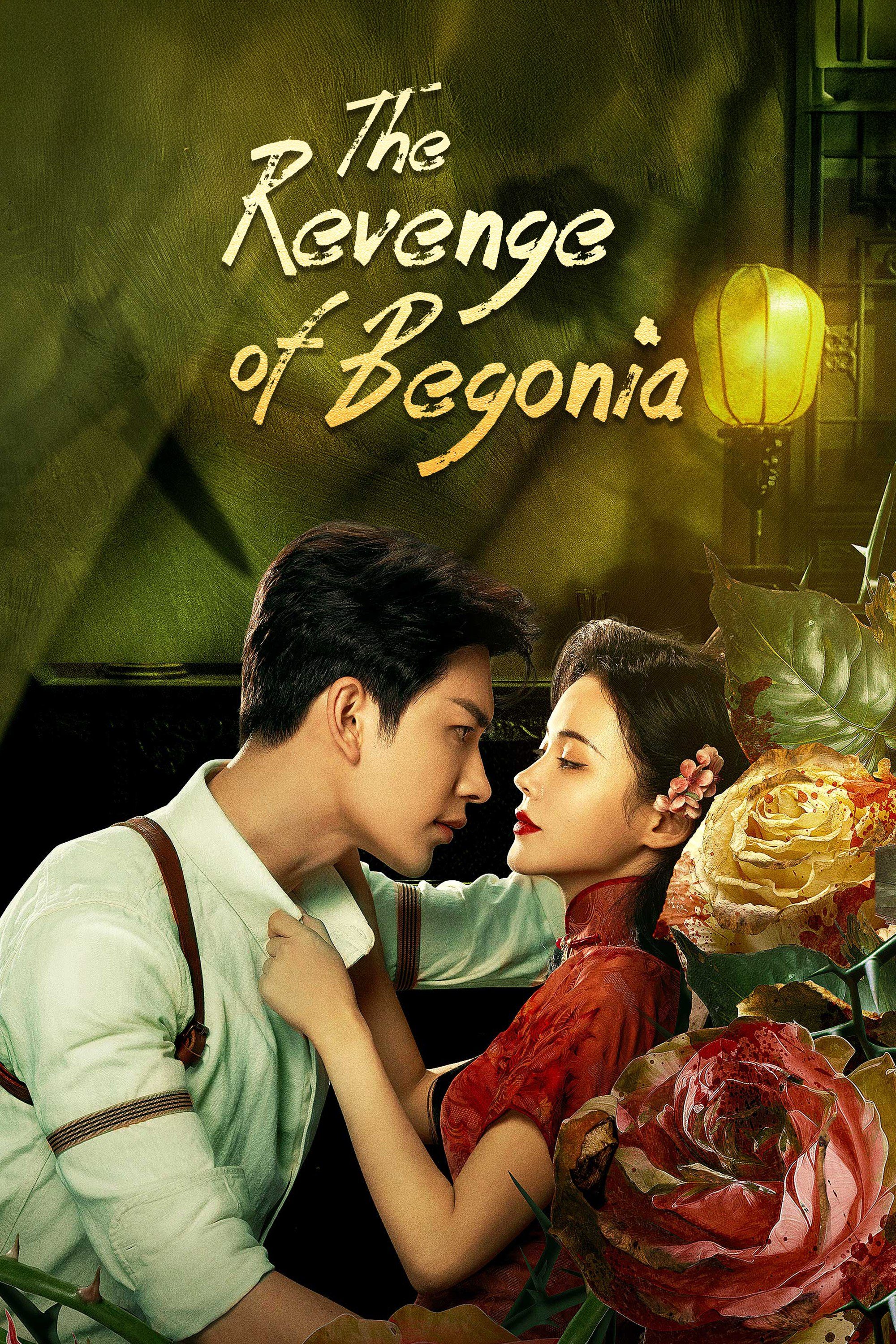 The Revenge of Begonia