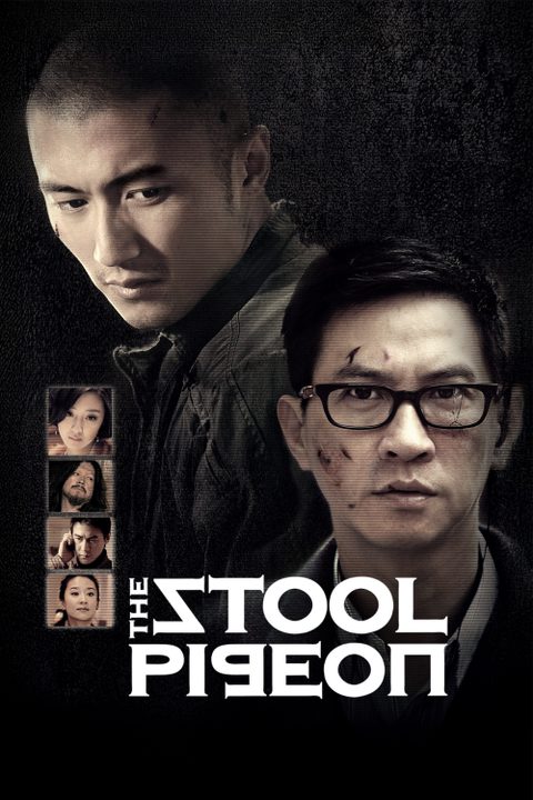 The Stool Pigeons