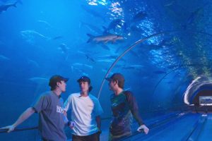 ดูหนัง TAG เพื่อนเที่ยว Tag Puen Tiew ตอนที่ 31