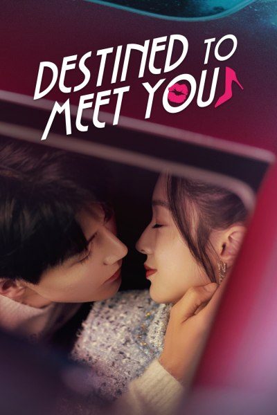Destined To Meet You