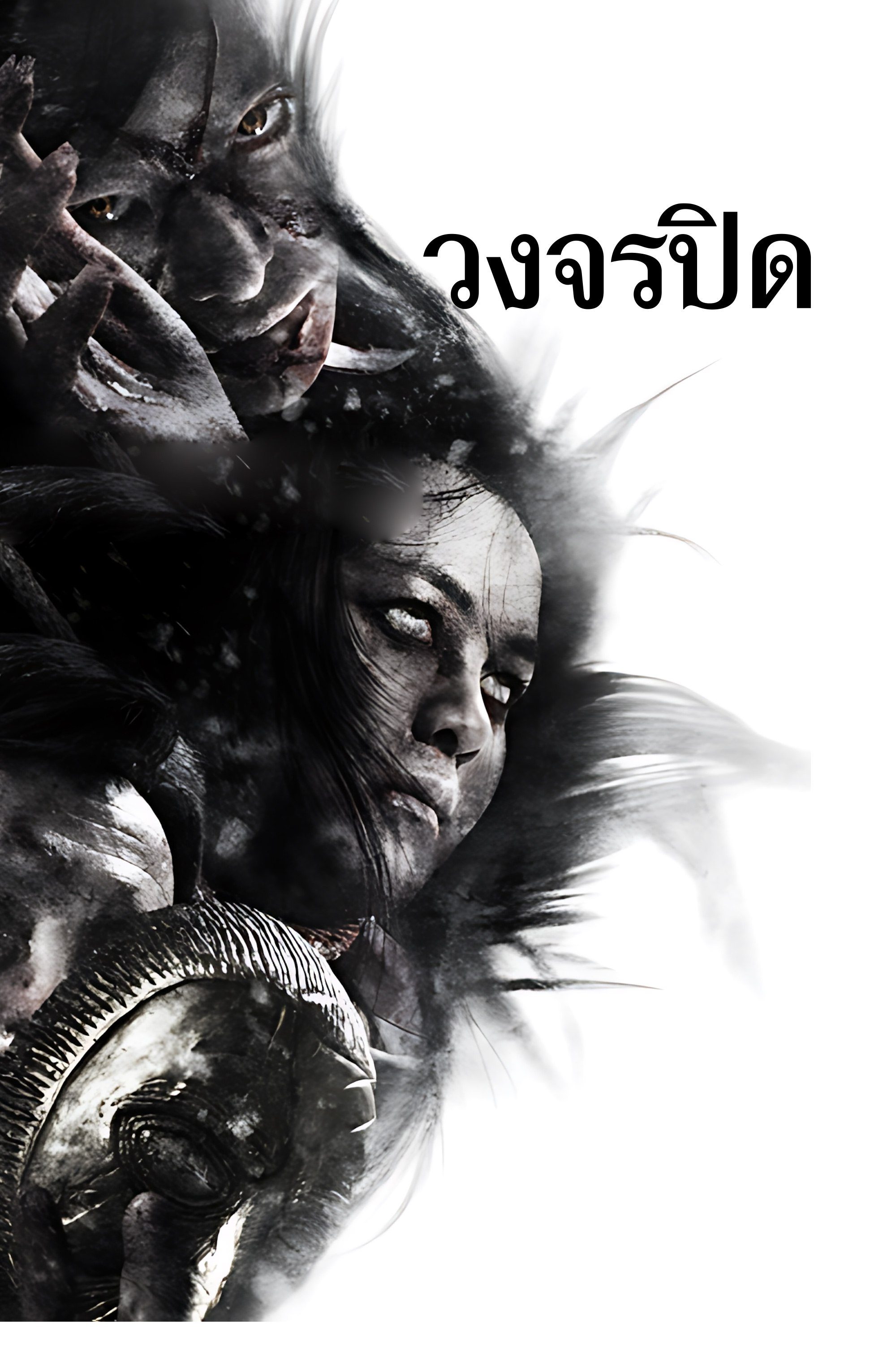 วงจรปิด Heaven & Hell