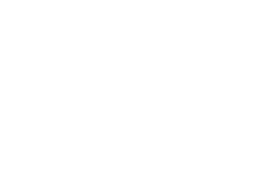 พลิกชะตาเงาคู่ลิขิต