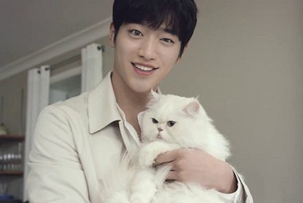 5 หนุ่มเกาหลีที่เป็นทาสแมว
