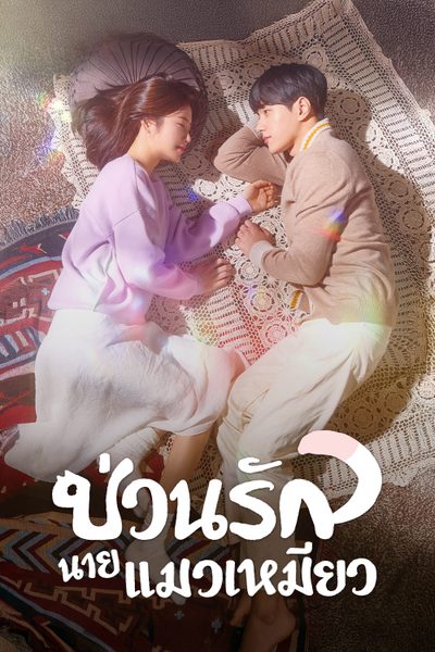 ป่วนรักนายแมวเหมียว Meow, the Secret Boy