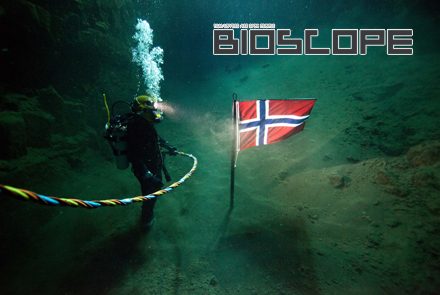 Pioneer  ภารกิจ ‘ดำ’ เพื่อชาติ? by BIOSCOPE