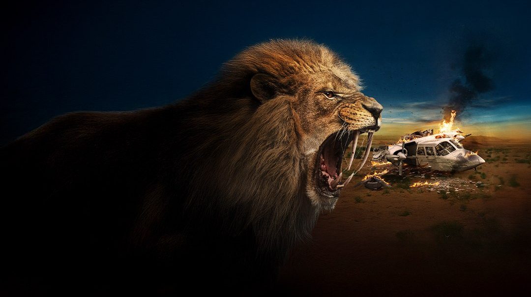 ขย้ำ Prey