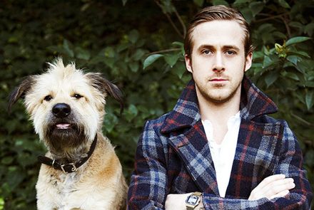 10 ดาราฮอลลีวูดกับน้องหมาตัวโปรด