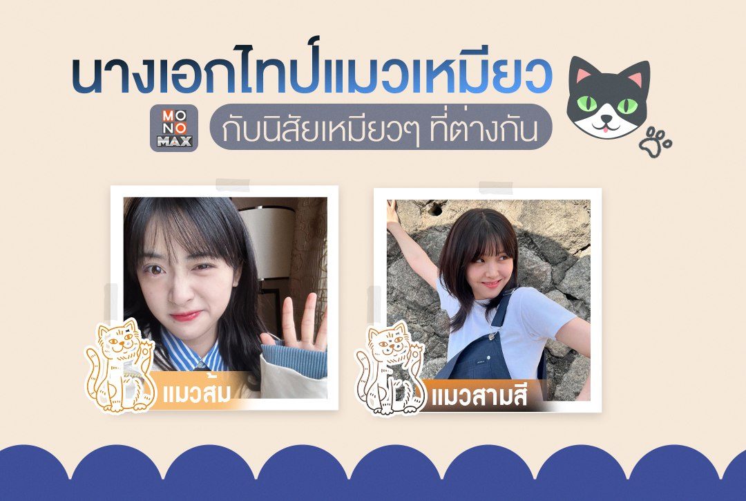 ทำความรู้จัก "นางเอกไทป์แมวเหมียว" กับนิสัยเหมียวๆ ที่ต่างกัน