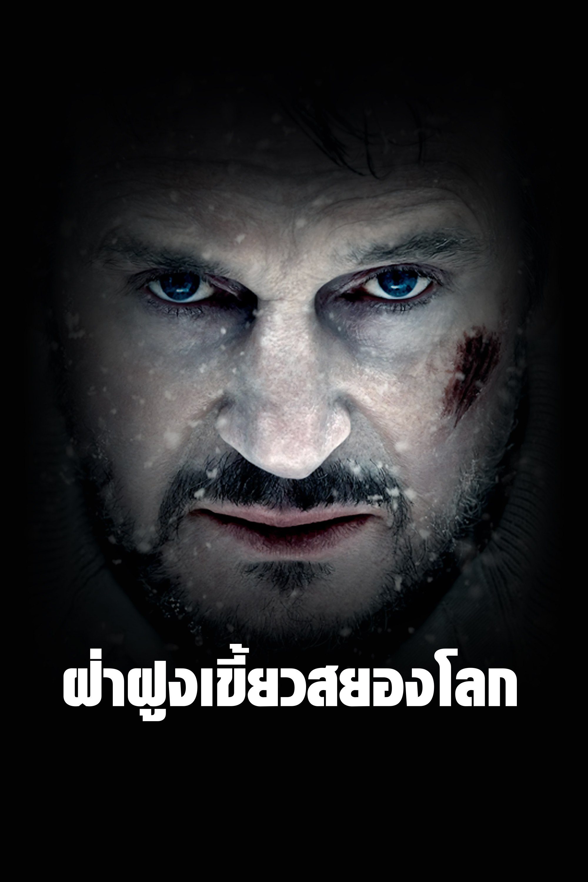 ฝ่าฝูงเขี้ยวสยองโลก The Grey