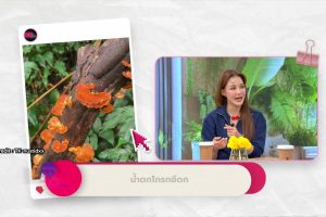 ดูหนัง สุขภาพดีมีเทส Her Vibes ตอนที่ 10