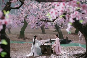 ดูหนัง สามชาติสามภพ ป่าท้อสิบหลี่ Eternal Love ตอนที่ 47