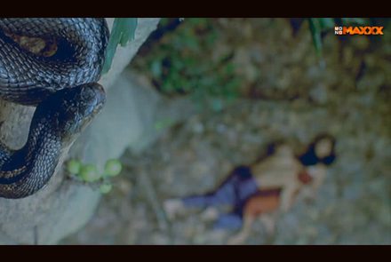 ตามไปดู 5 หนัง "ที่มันมีงูออกมา"