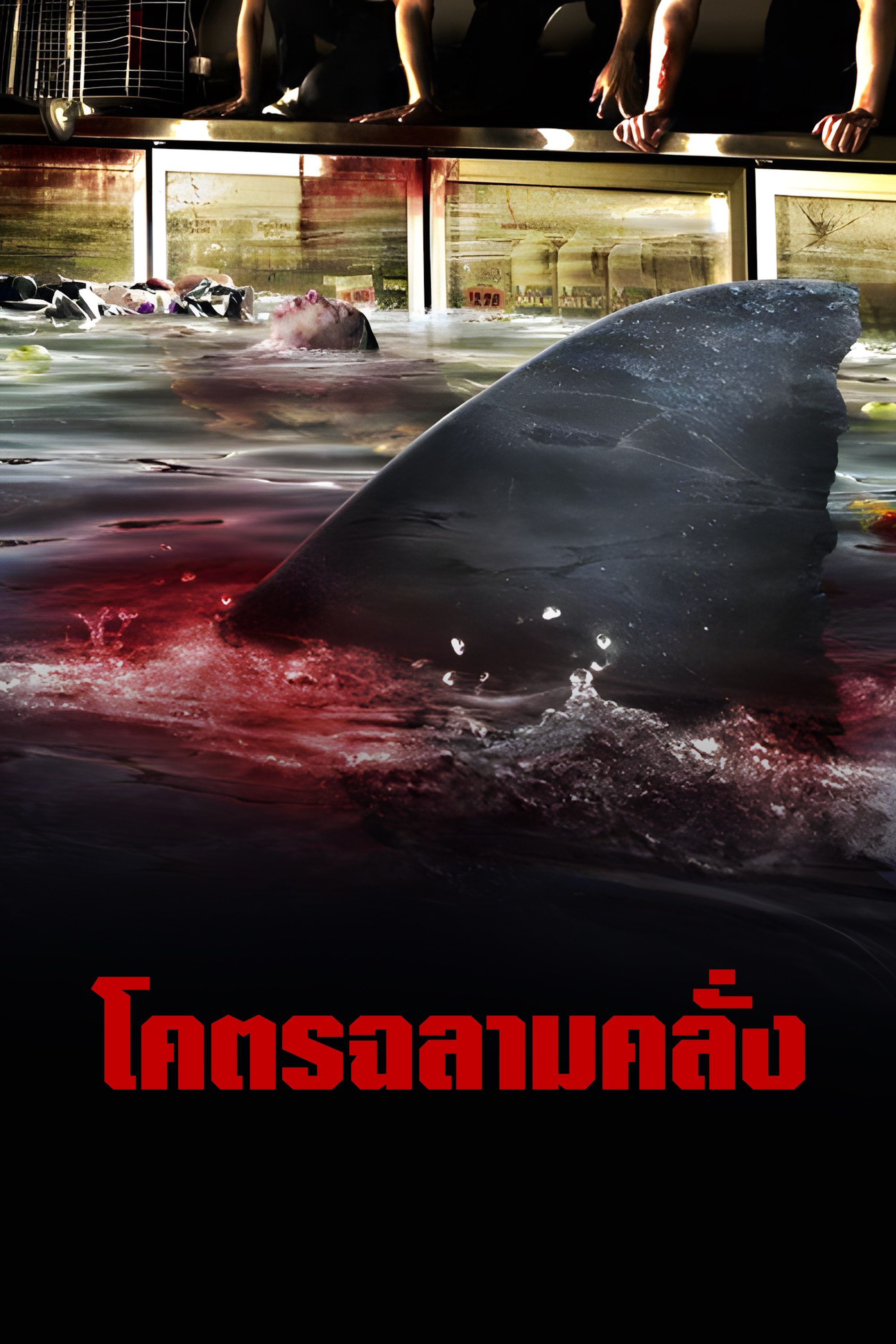 โคตรฉลามคลั่ง Bait 3D