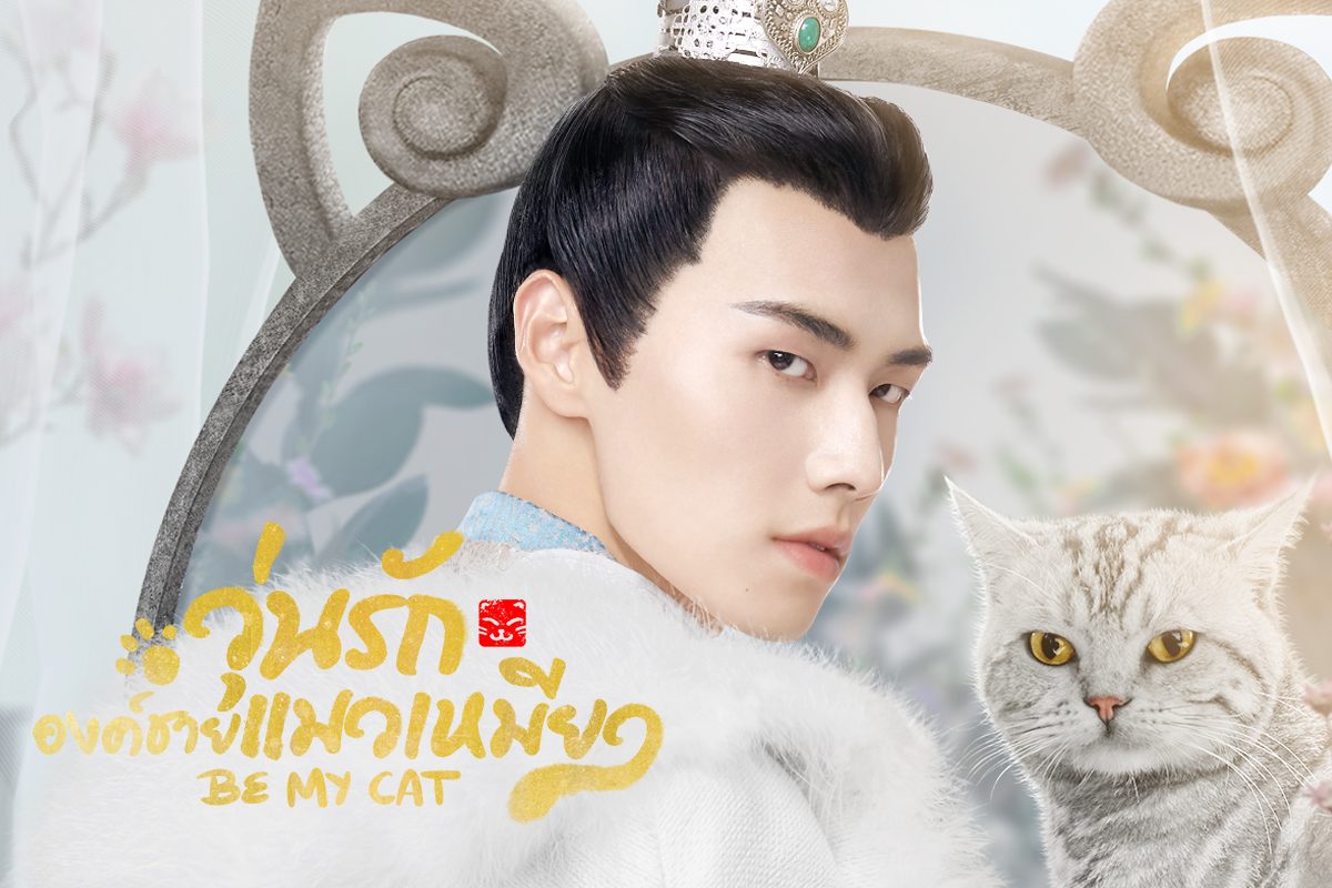 แนะนำ 5 นักแสดงจากซีรีส์จีน Be My Cat วุ่นรักองค์ชายแมวเหมียว