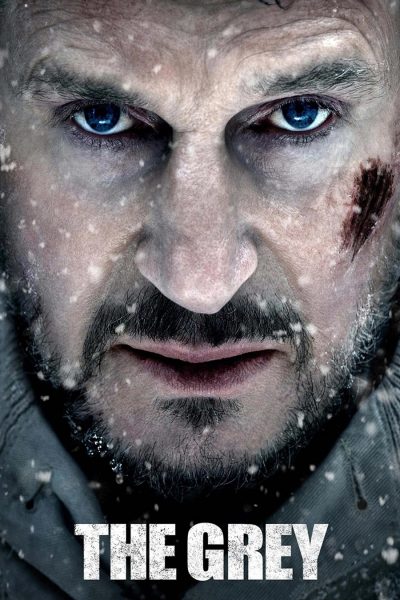 The Grey