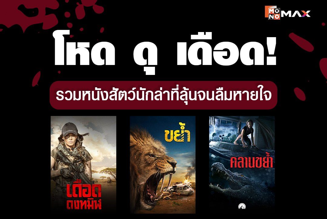 โหด ดุ เดือด! รวมหนังสัตว์นักล่าที่ลุ้นจนลืมหายใจ