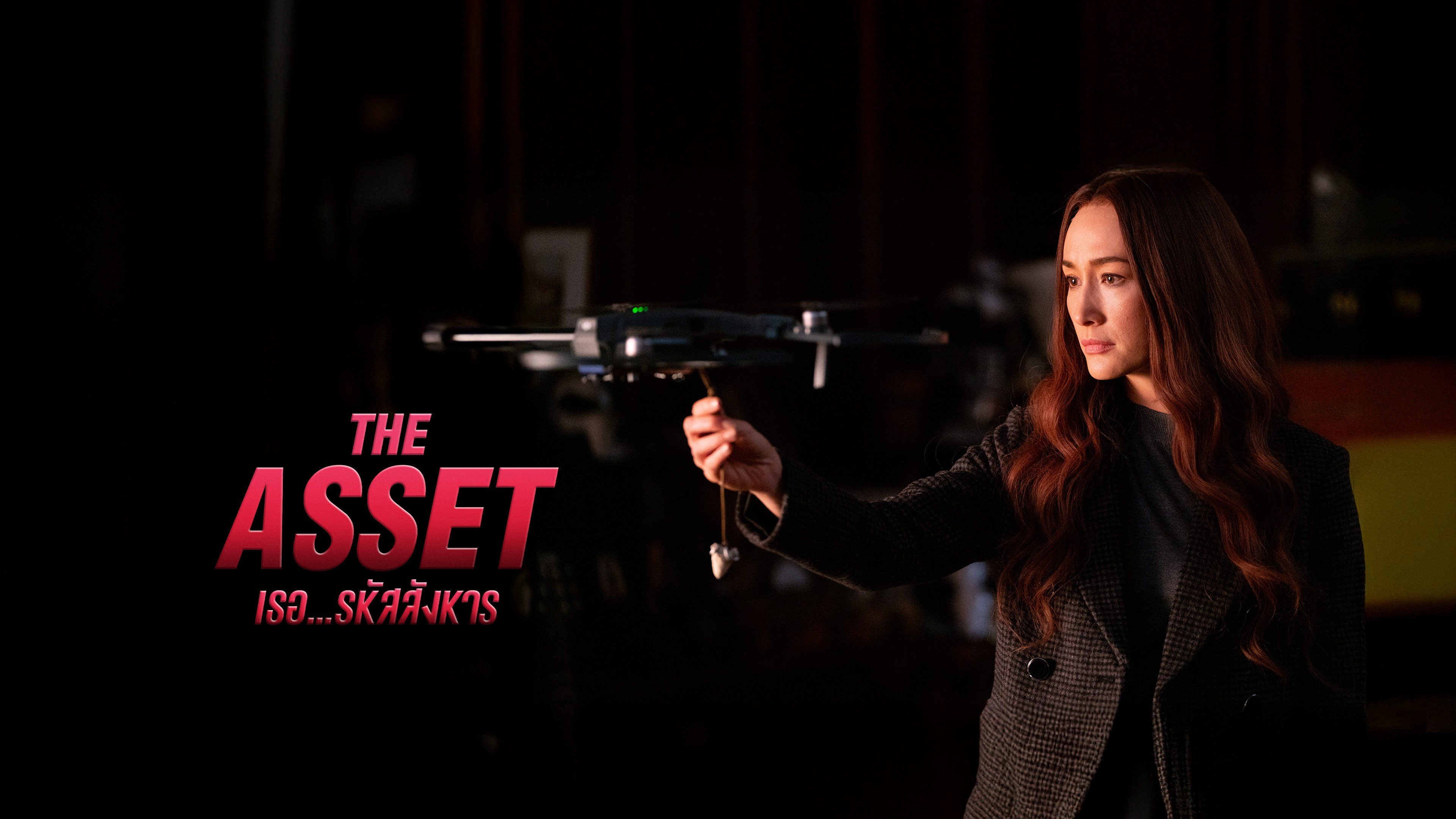 เธอ…รหัสสังหาร The Asset