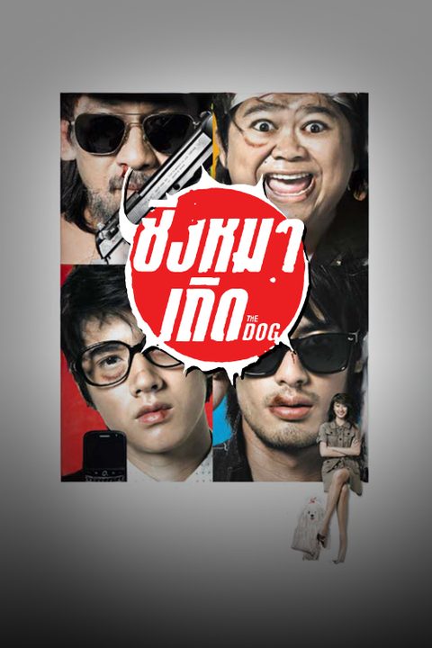 The Dog ชิงหมาเถิด