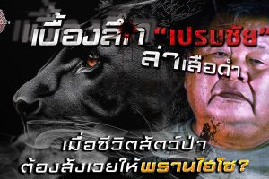 ดูหนัง ไขปมคดีดัง Khai Pom Kadee Dang ตอนที่ 14