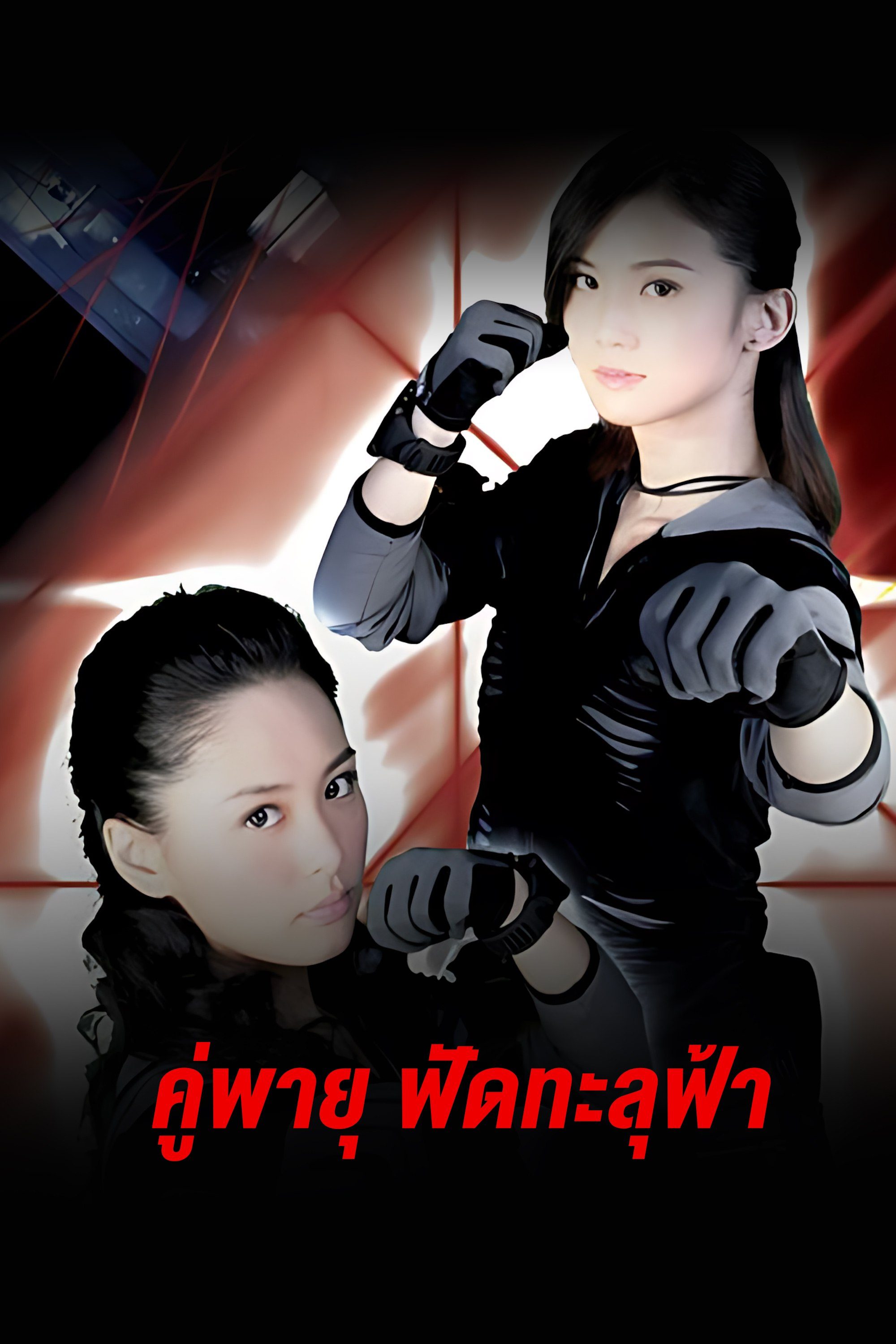 คู่พายุ ฟัดทะลุฟ้า Twins Mission