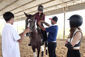 ดูหนัง ฟิต Fit ตอนที่ 42