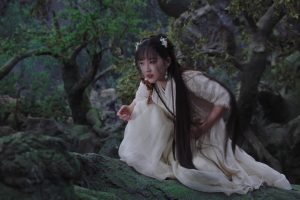 ดูหนัง ยุทธจักรผจญภัย Wanru's Journey ตอนที่ 1