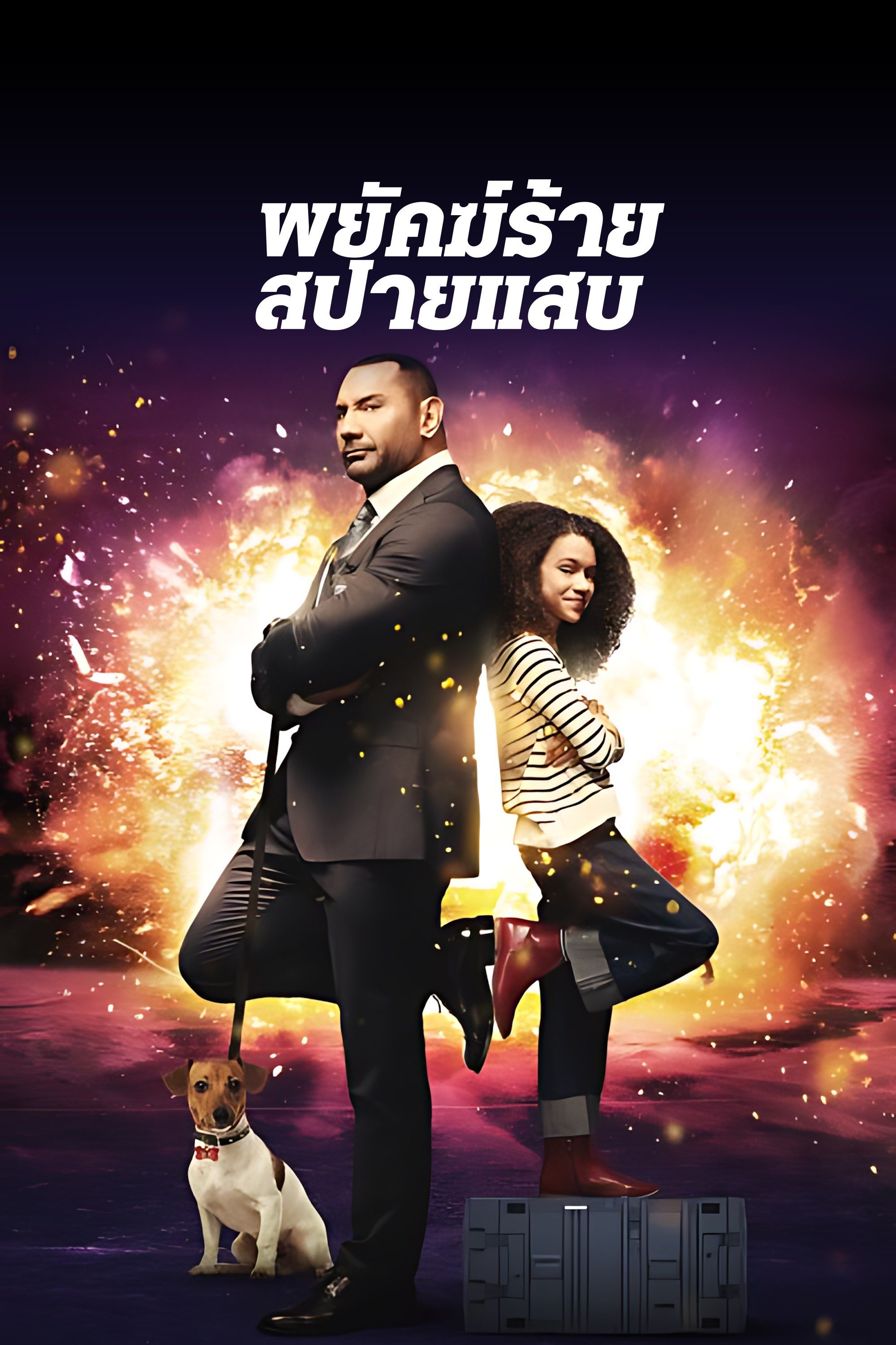 พยัคฆ์ร้าย สปายแสบ My Spy