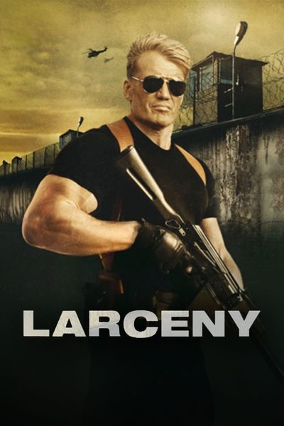 ดูLarceny