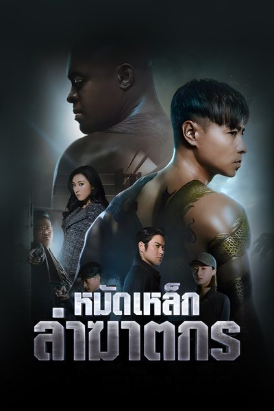 หมัดเหล็กล่าฆาตกร Invincible Dragon