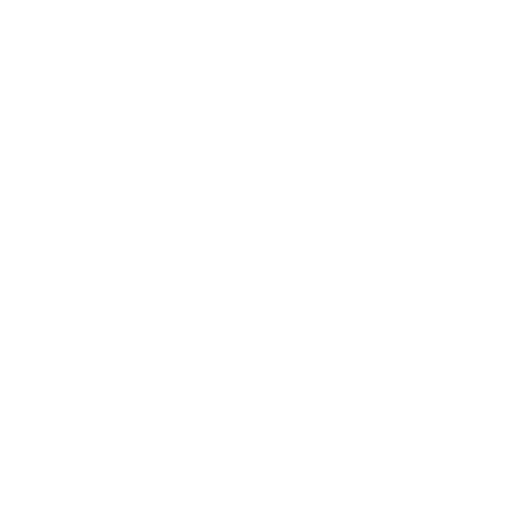 VNL ทีมหญิง