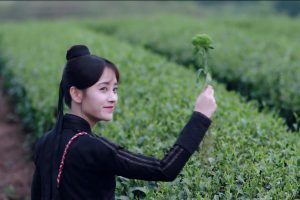 ดูหนัง หยุนซี หมอพิษหญิงยอดอัจฉริยะ Legend of Yun Xi ตอนที่ 32