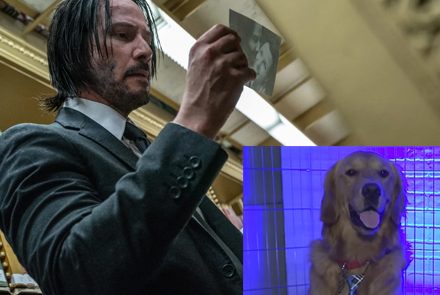 เมื่อน้องหมาดูตัวอย่าง John Wick 3 จะเป็นยังไง?