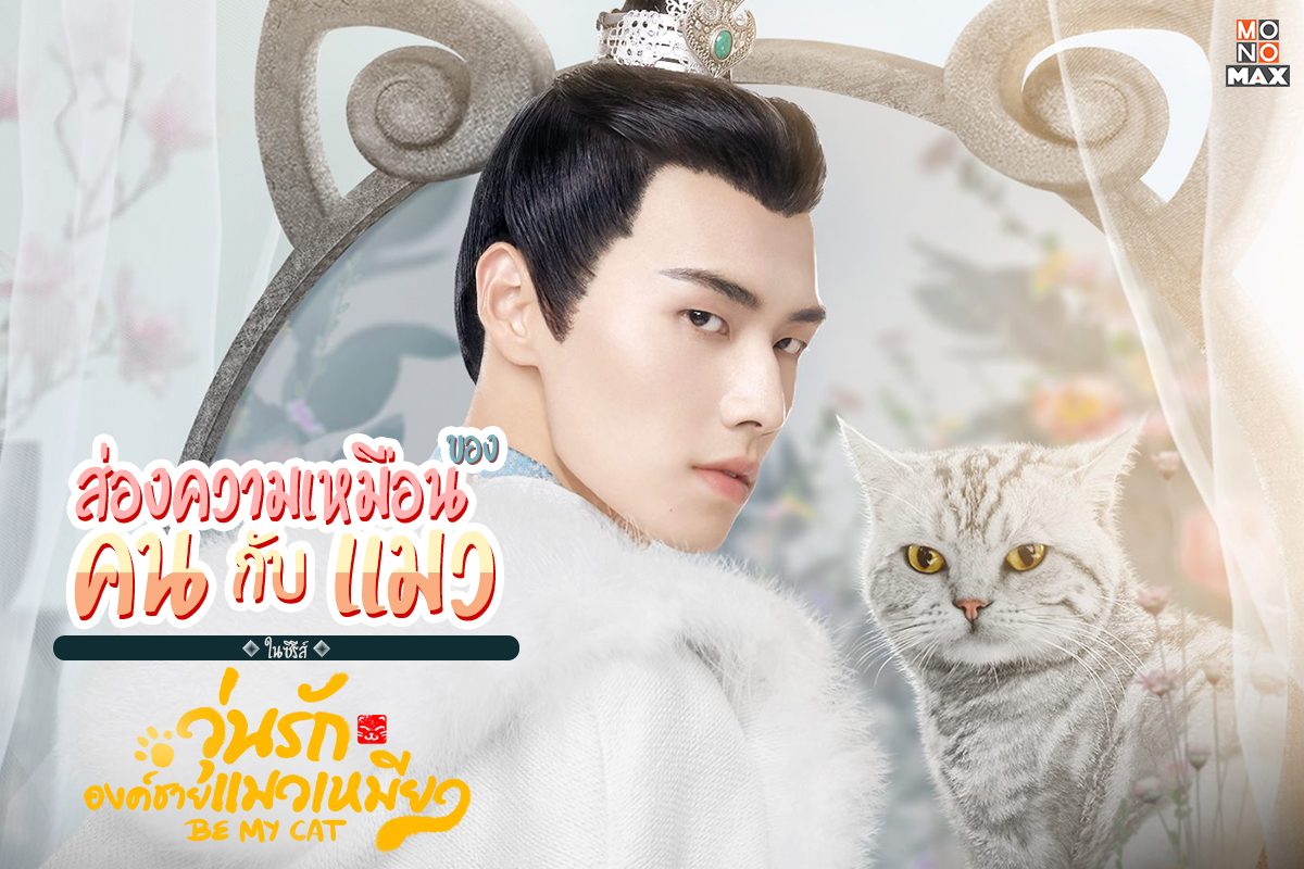 ส่องความเหมือนของคนกับแมวในซีรีส์ Be My Cat วุ่นรักองค์ชายแมวเหมียว