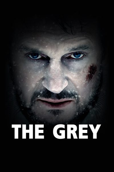 ดูThe Grey