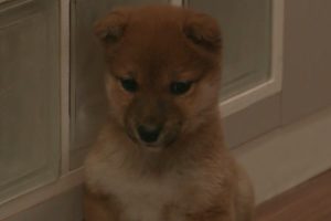 ดูหนัง โลกทั้งใบ หัวใจรักแค่เธอ Perfect World ตอนที่ 2