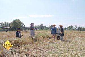 ดูหนัง TAG เพื่อนเที่ยว Tag Puen Tiew ตอนที่ 17