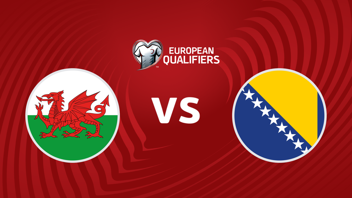 เวลส์ v บอสเนียและเฮอร์เซโกวีนา